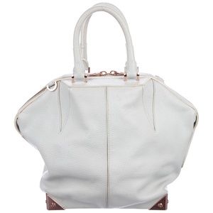 COPY - Authentic Alexander Wang Emile Bag/Almost …